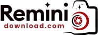 reminidonload.com logo image